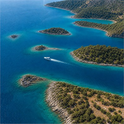 Rotalar